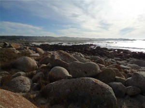 17 Mile Drive Monterey Coastline California
